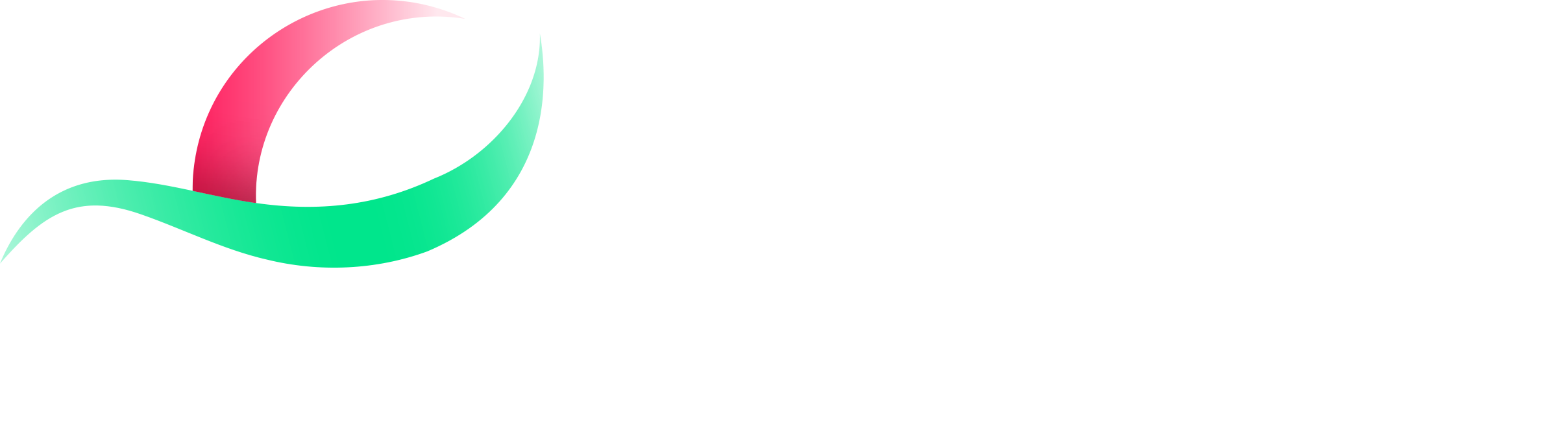 Datawall Logo